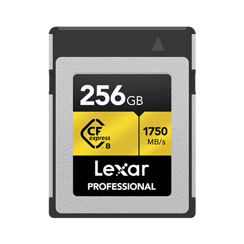 Memoria Lexar C-F 256 GB 1750mb Type B Serie Gold 10494-9